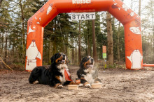 Foto: Just Russel
